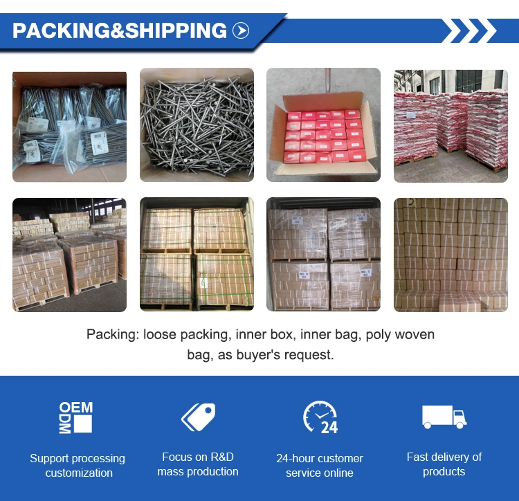 25kg Bulk Packing Wire Iron Nails