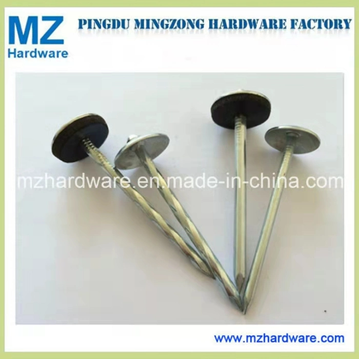 9g*2.5&quot; Factory Electro Galvanized Smooth Twisted Umbrella Head Roofing Nail