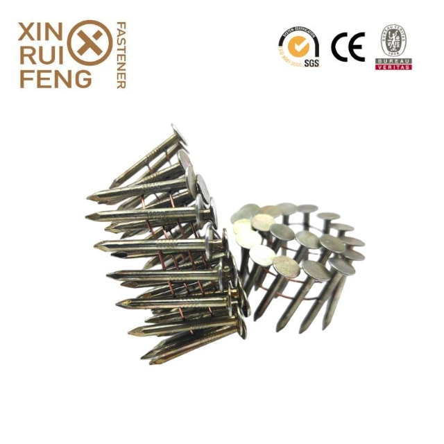 Promotion Price Umbrella Head Galvanized Smooth Shank Roofing Nails/Corrugated Nails