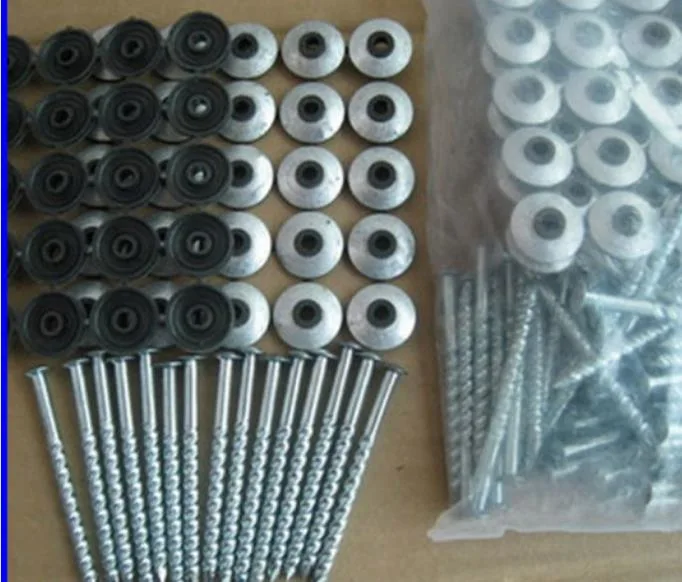 65mm 75mm 100mm Roofing Screws Nails with EPDM Washer and Plastic Caps