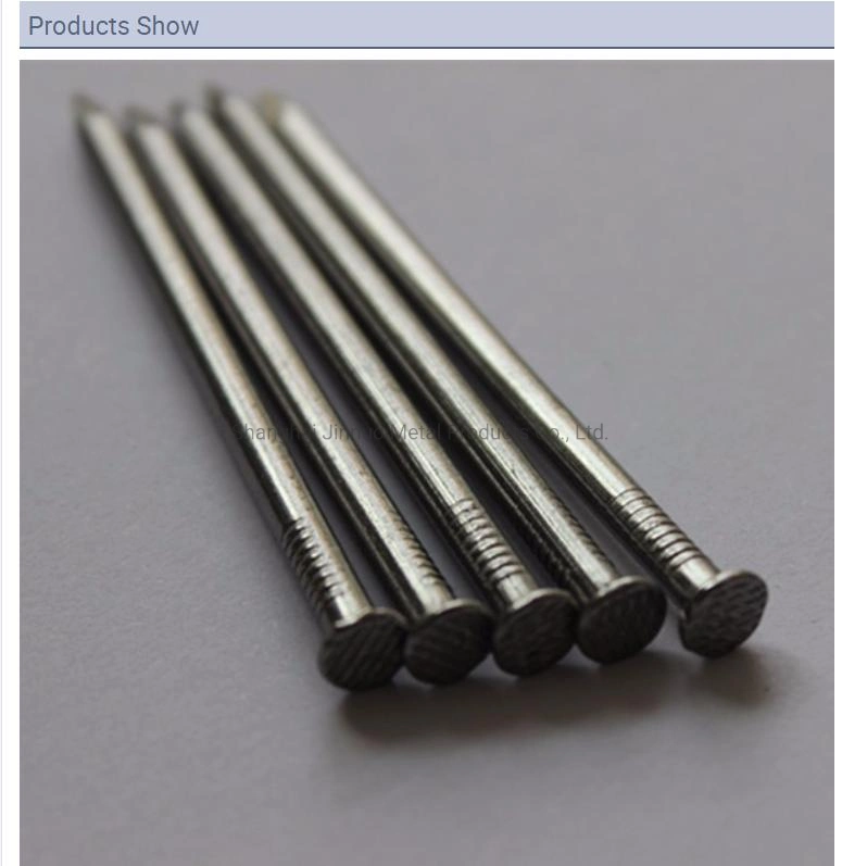 Hot Dipped Galvanized Flat Head Common Nails Iron Large Electro Galvanized Iron Spike Wire Steel Nails