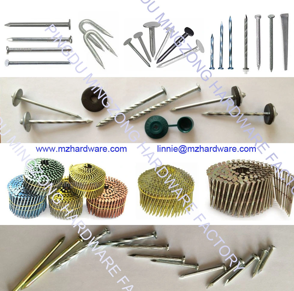 Assembled Concave Shank Roofing Nail