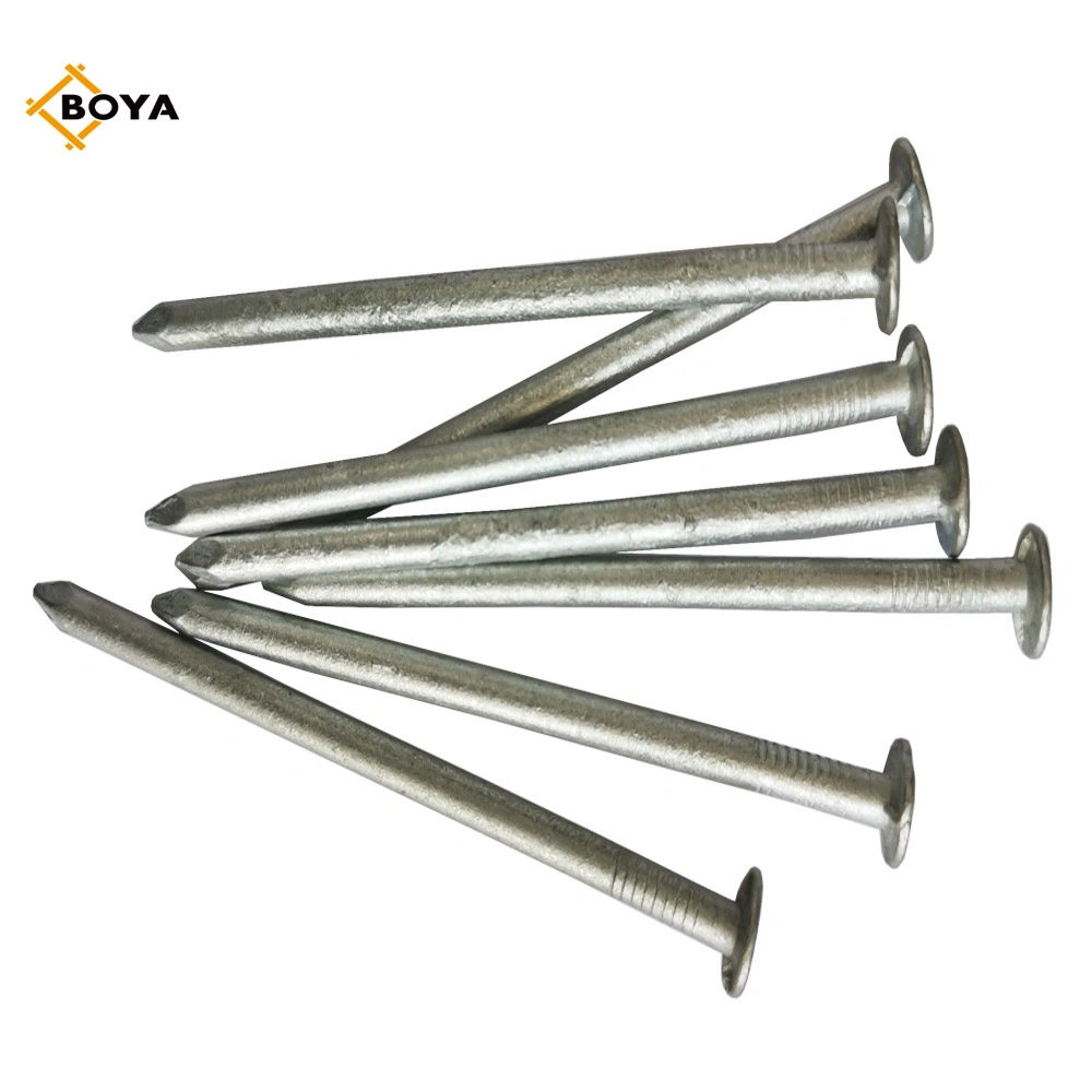 Hot Dipped Galvanized Wood Construction Common Iron Nail