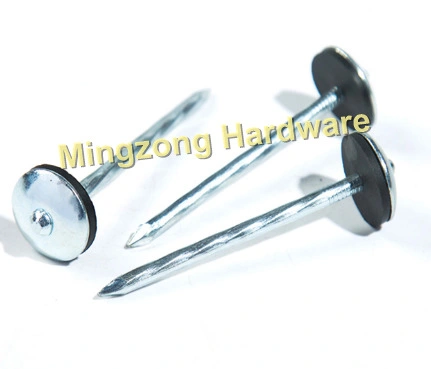 Umbrella Head Roofing Concrete Common Nails for Galvanized Smooth / Twisted Shank 1&quot; /2&quot;/2.5&quot;/3&quot; 8-12bwg 3.125kg / Box