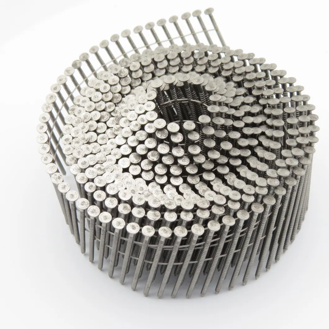 High Quality Stainless Steel Collated Coil Nails