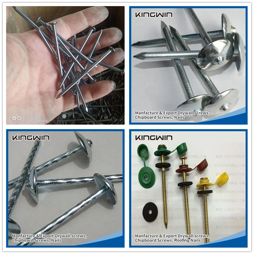 Factory Wholesale 3.55X75mm 3.55X100mm Plastic Cap Umbrella Head Galvanized Roofing Screw Nail with Washer for Zimbabwe Botswana and South Africa Market