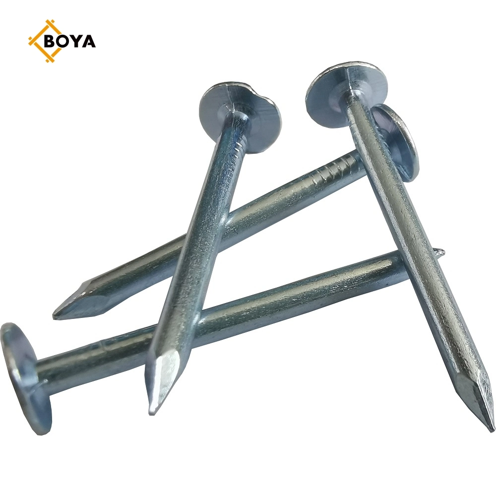 High Quality Hot Dipped Galvanized Clout Nail with Different Size