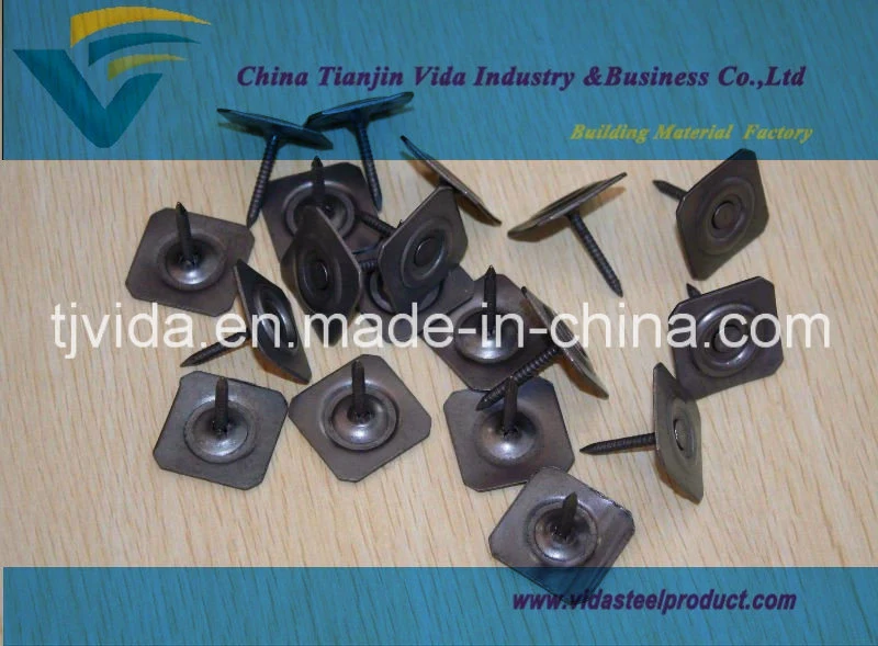 Steel Cap Nails From Factory with Good Prices