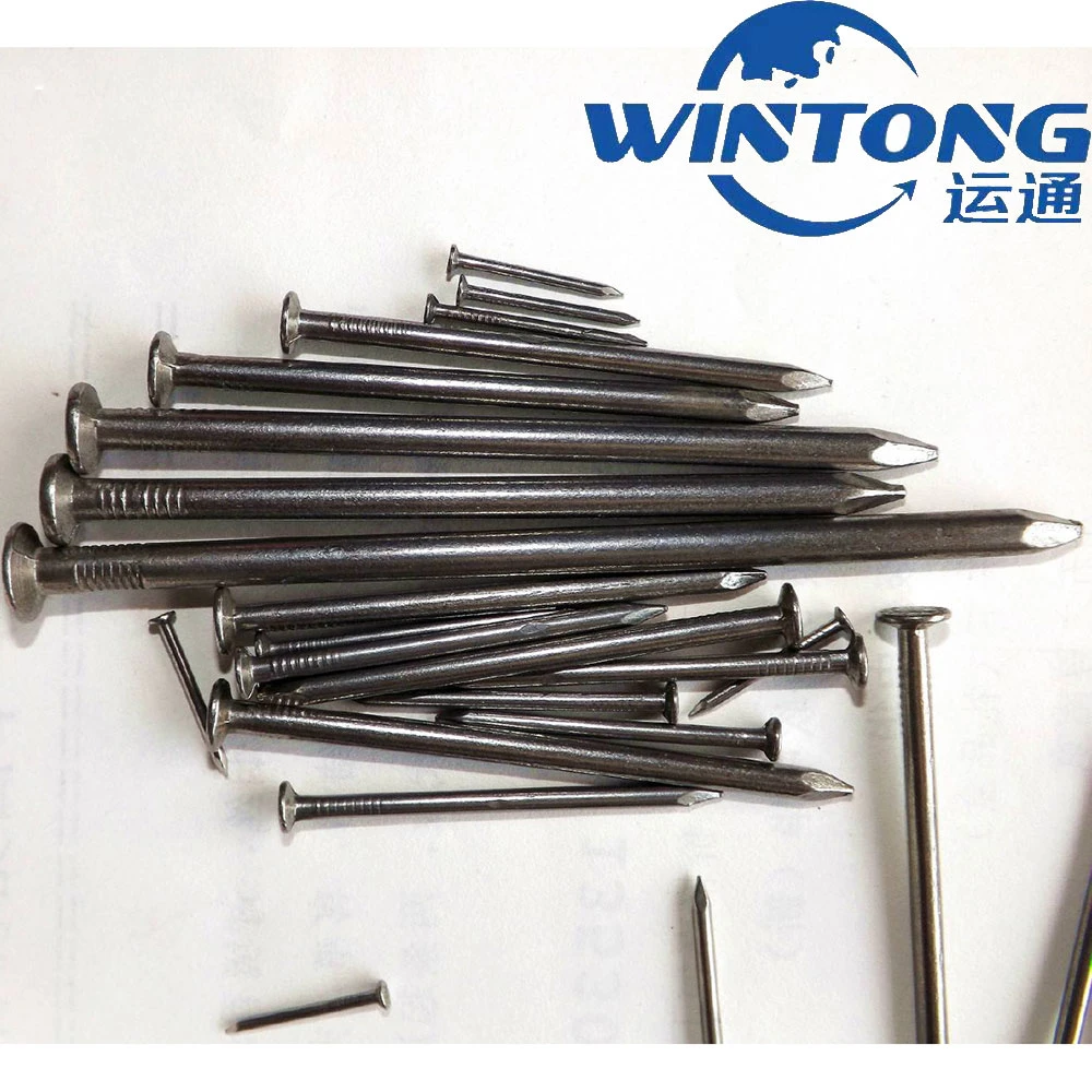 Headless Iron Nail/Round Steel Nail/Big Head Nail/Common Polished Round Nail