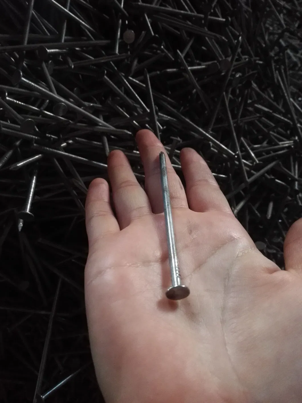 Galvanized Smooth Shank Common Nails