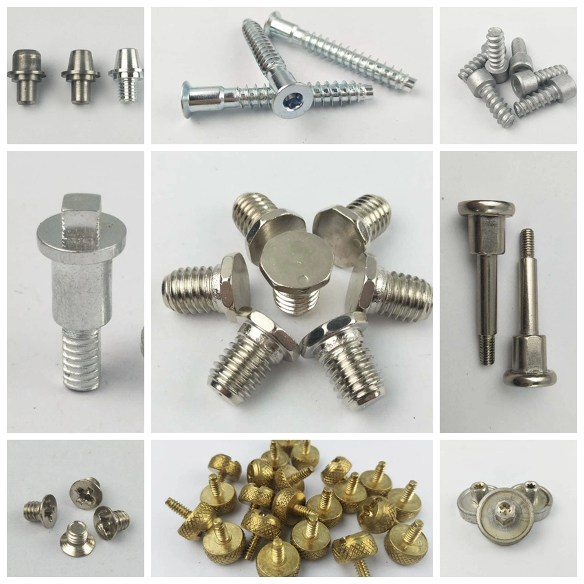 Special Flat Hex Socket Head Male and Female Chicago Screws with Serration