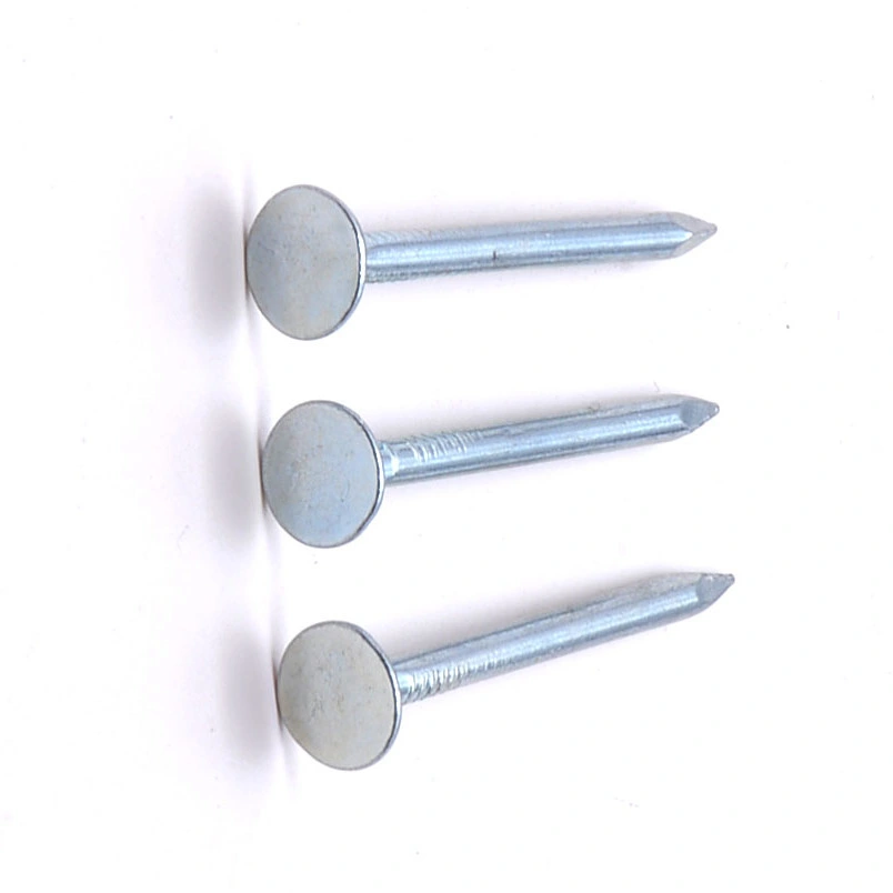 Hot Dipped Galvanized Flat Head Clouts Nails