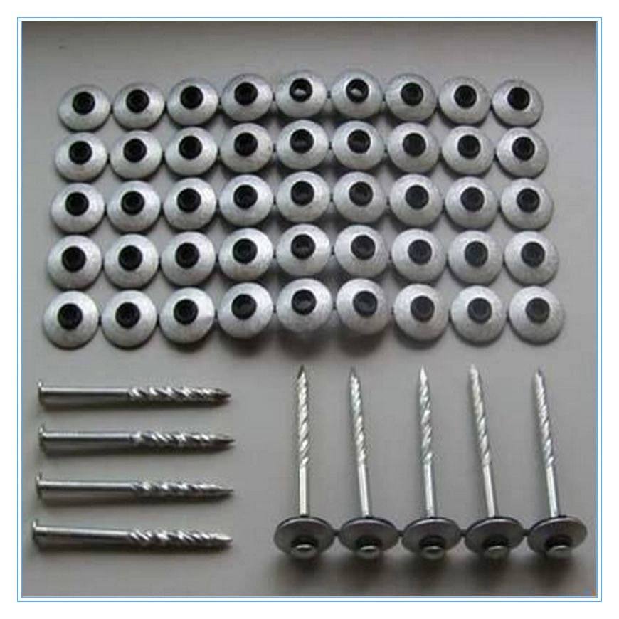 The Assembly Roofing Screw Nails with Screw Shank