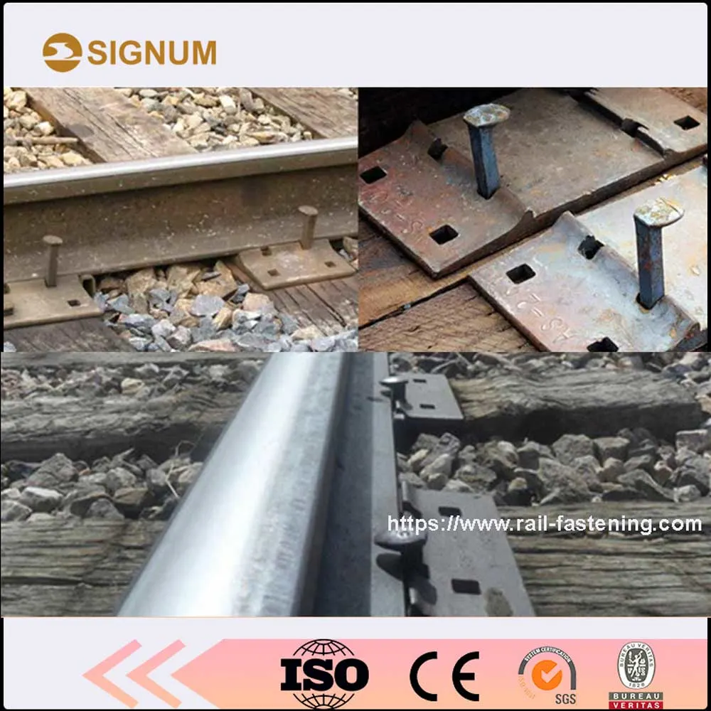 Rail Fastener Rail Dog Spike Track Spike