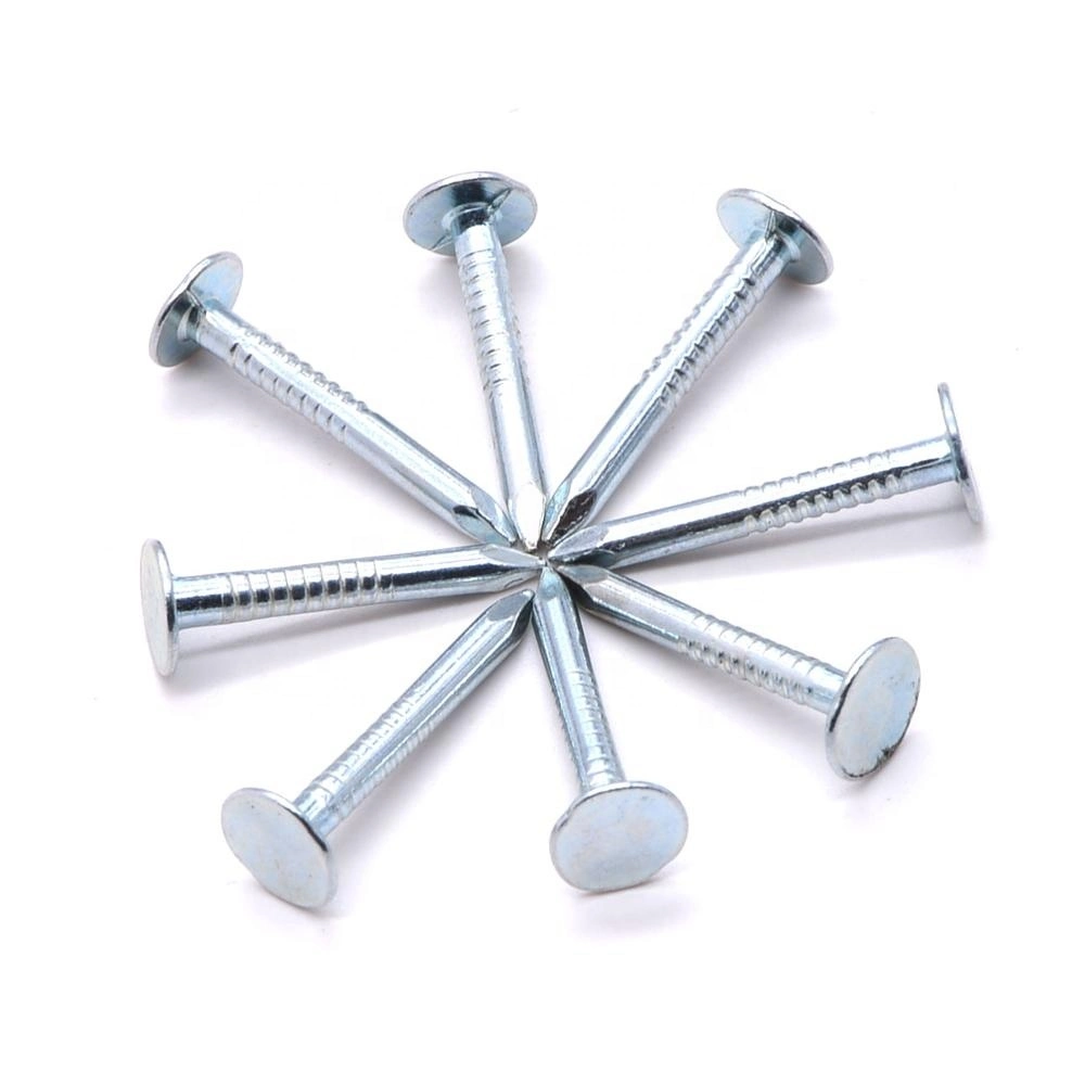 Hot Sale Hardware Factory Direct Zinc Coated Clout Nail for Building