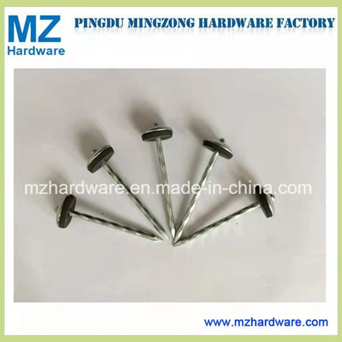 Smooth Twisted Screw Shank Umbrella Head Roofing Nail