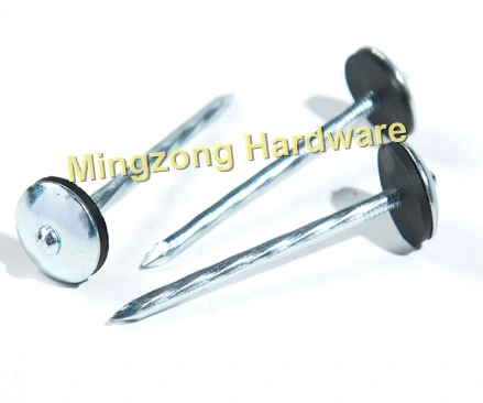 Umbrella Head Roofing Nail with Rubber Washer/Common Wire/ Cupper/Steel Concrete Nail/Cheap Common Nails/Concrete Steel Nail /Iron Nail/Polished Wire Nail/Commo