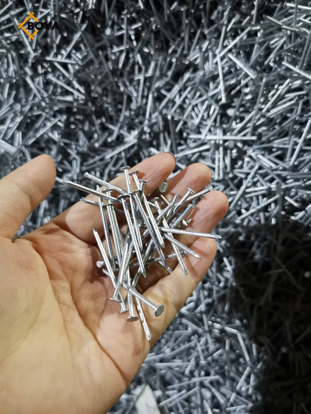 Good Quality Steel Wire Iron Wood Nails Clavos Pregos Manufacturer in China