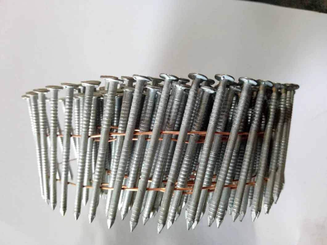 Galvanized Coil Nail with Twisted Shank for Making Pallets