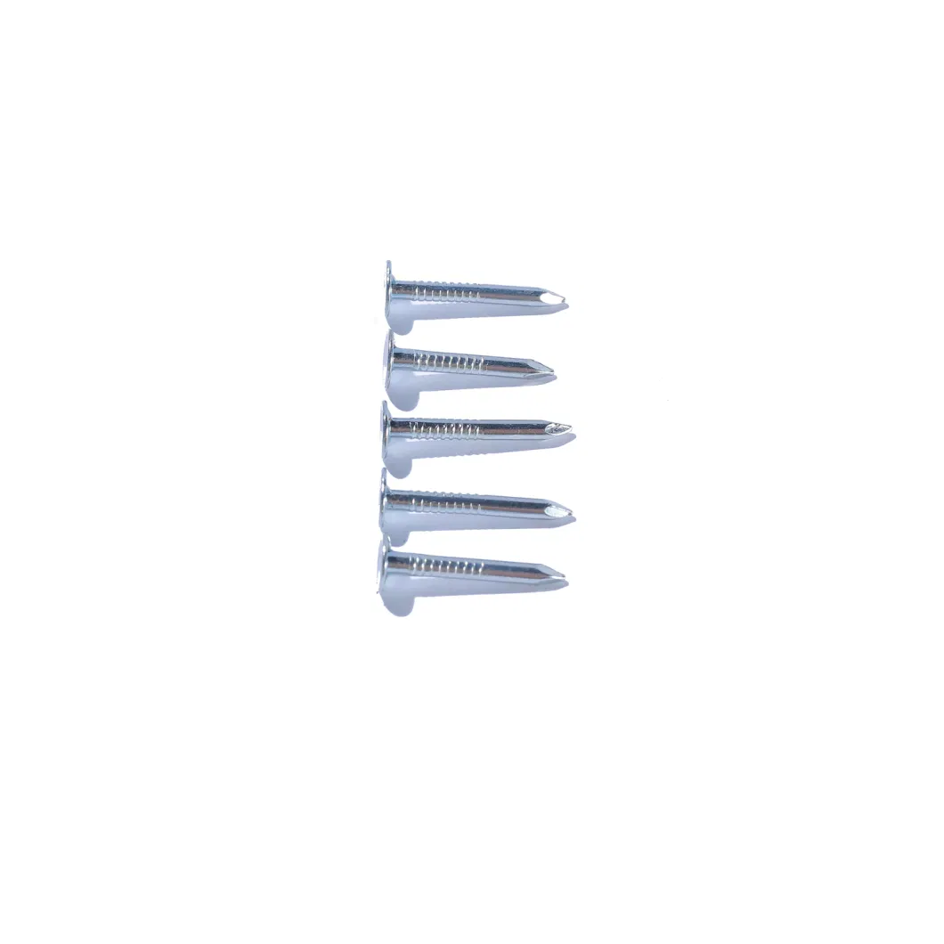 High Quality Hot Dipped Galvanized Large Flat Head Iron Nails