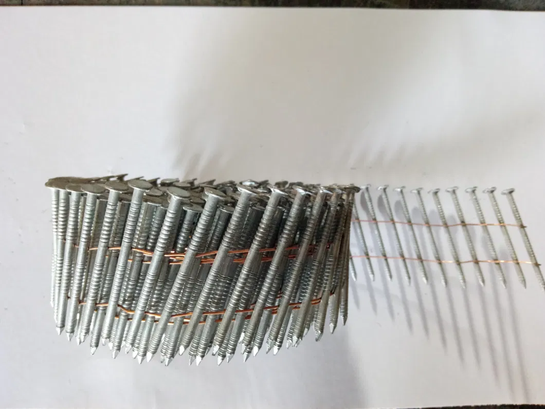 Galvanized Coil Nail with Twisted Shank for Making Pallets