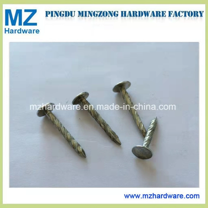 Hot Dipped Galvanized Large Flat Head Roofing Clout Nail