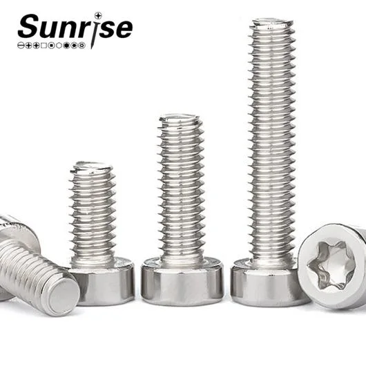 Stainless Steel Anti-Theft Torx Screw Cup Head Torx Cylindrical Head Screw