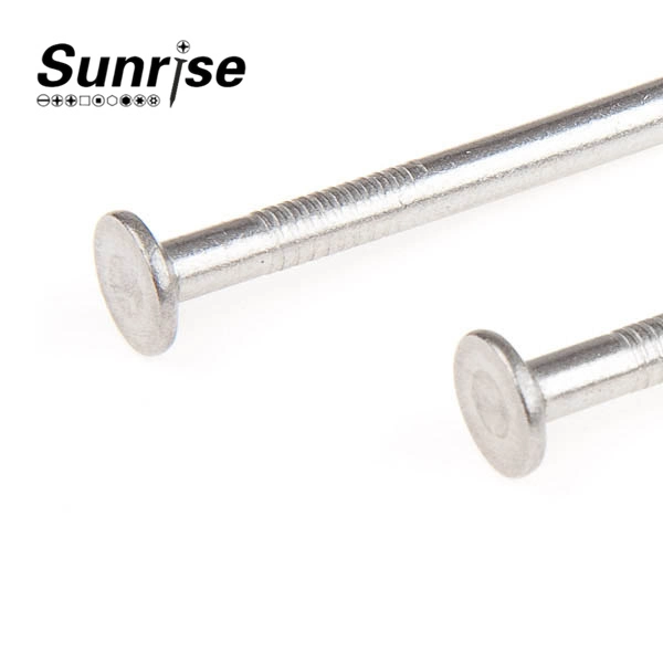 Smooth Shank Decking-Bracket Nails Screw