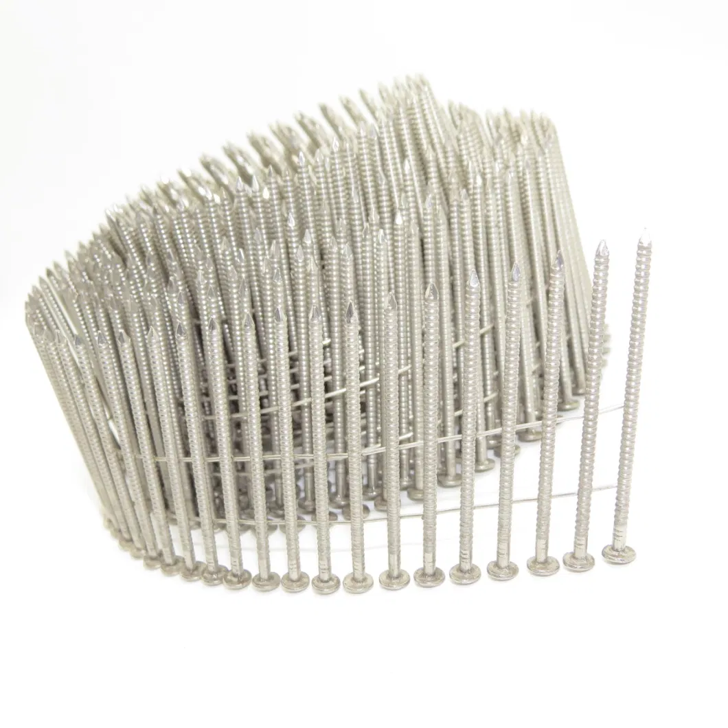 Full Round Head Wire Collated Coil Stainless Steel Nails