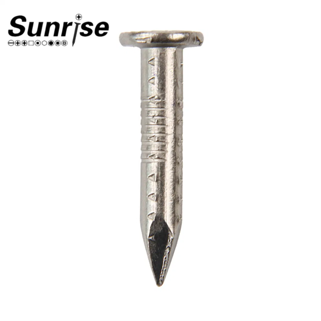 Stainless Steel Lose/Shank Nails Screws