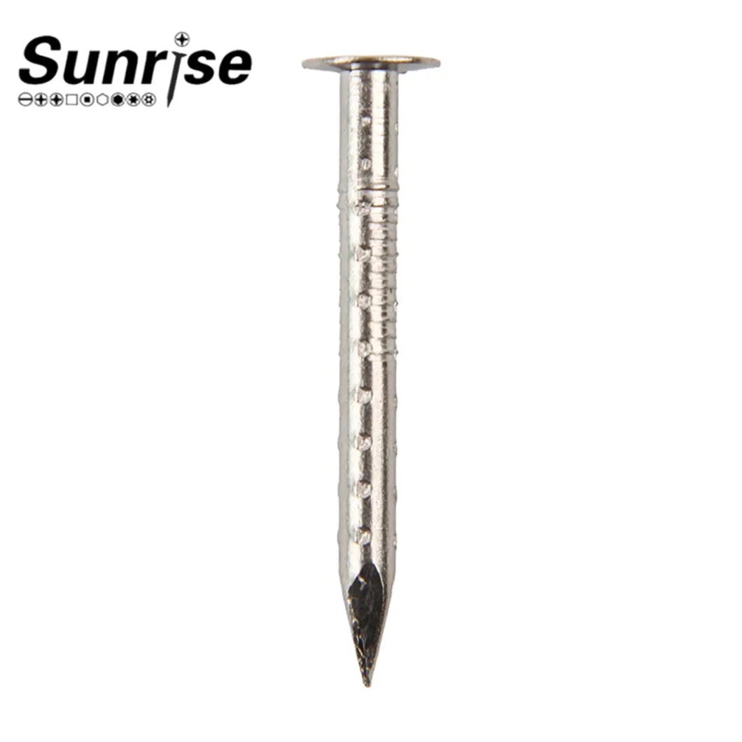 Stainless Steel Lose/Shank Nails Screws