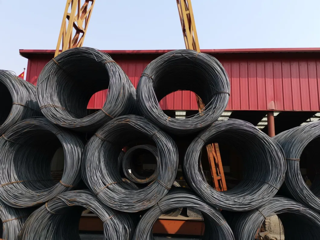 Roofing Big Flat Head Clout Nails Steel Nails From Tianjin China Factory