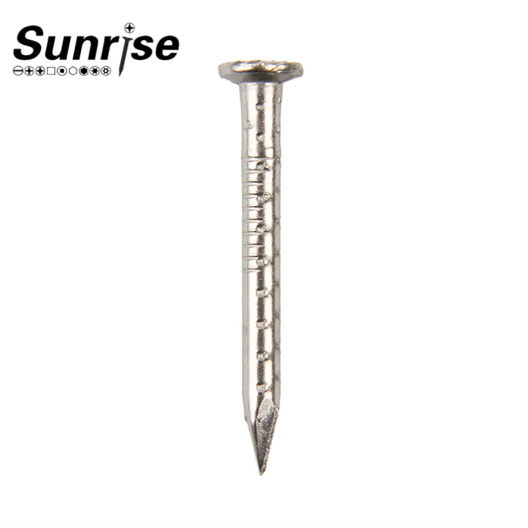 Stainless Steel Lose/Shank Nails Screws