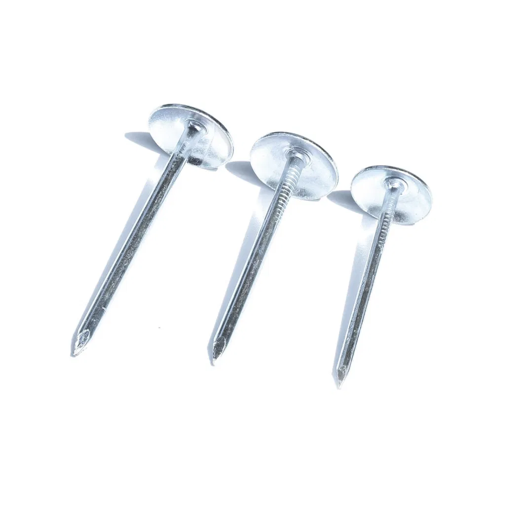 2&quot; Galvanized Umbrella Head Roofing Nails