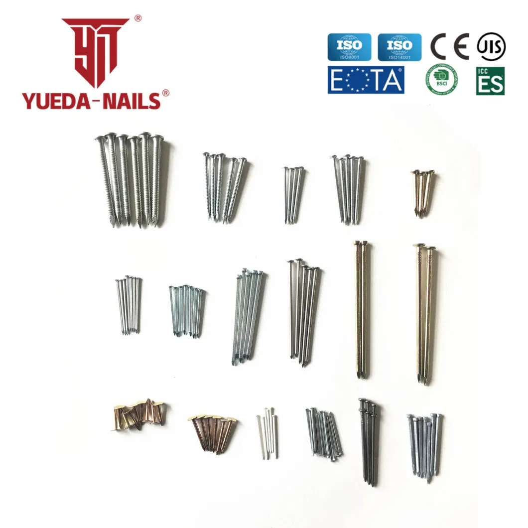 Shanghai Yueda Building Common HDG Bright Eg SS304 Loose Nails for Construction