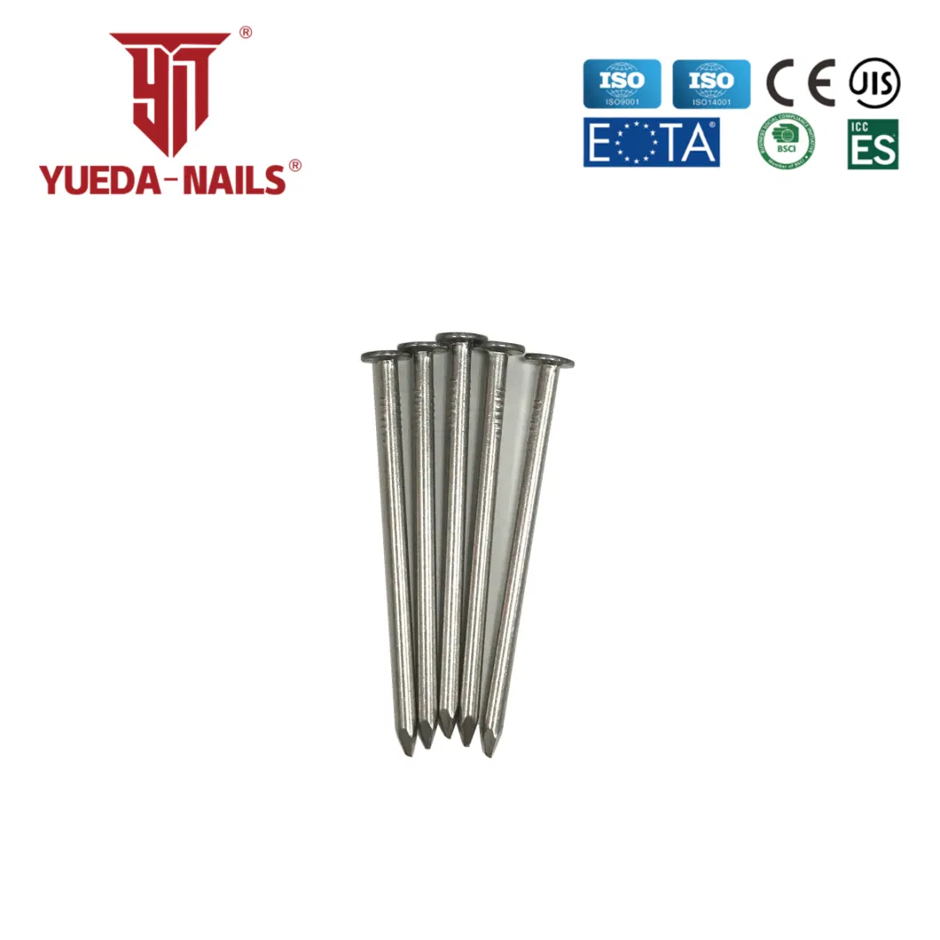 Shanghai Yueda Building Common HDG Bright Eg SS304 Loose Nails for Construction