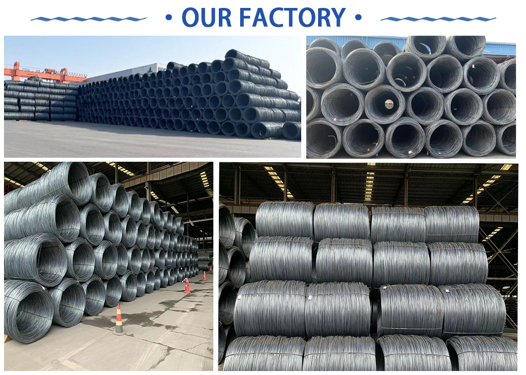 Various Specifications Support Cutting Low Carbon Steel Wire Rod Making Nails