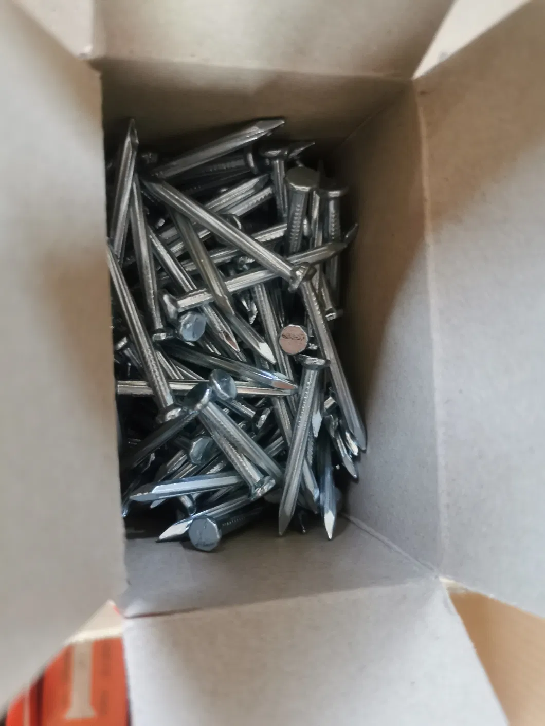 Cheap Price Concrete Nails/Factory Price Steel Nails