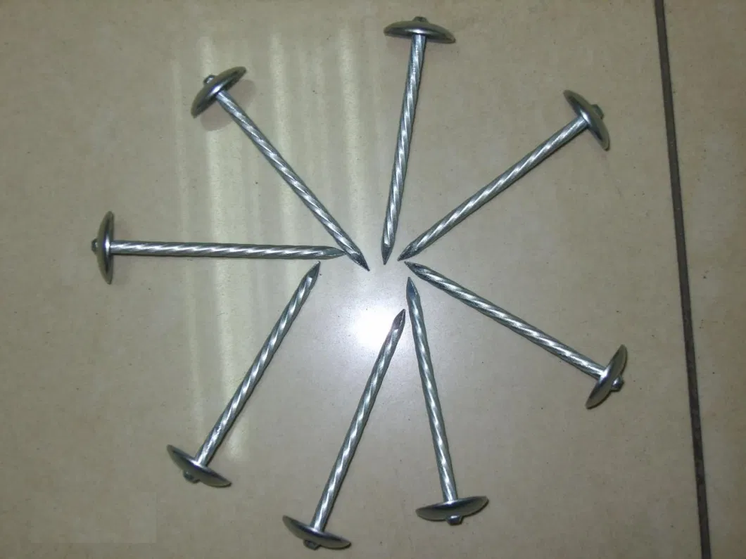 High Quality Roofing Nail with Twist Shank