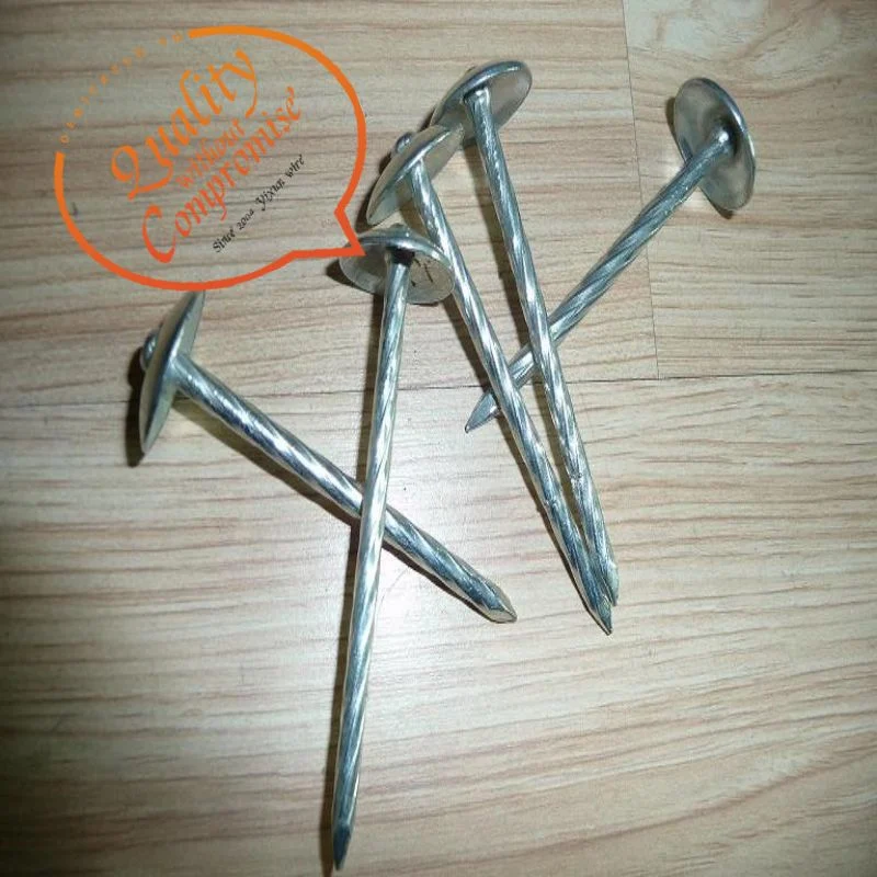 Twisted Shank Umbrella Head Galvanized Roofing Nails