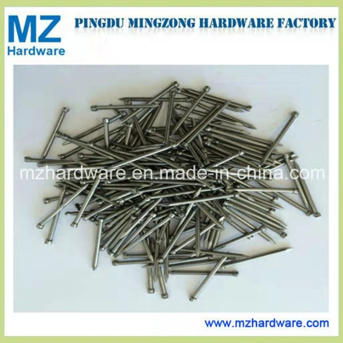 Common Nail/Building Nail/Wire Nail/Construction Nail/Iron Nail/Steel Nail/Nail