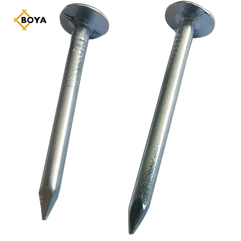 China Electrical Galvanized Large Head Flat Clout Nail for Construction