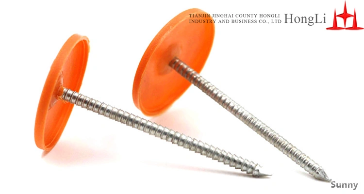 Roofing Nails with Plastic or Steel Cap