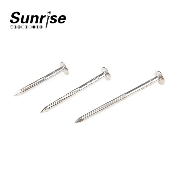 Ring Shank Clout Nails Screw