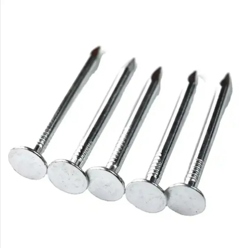 Steel Iron Shiny Galvanized Big Flat Head Common Nails