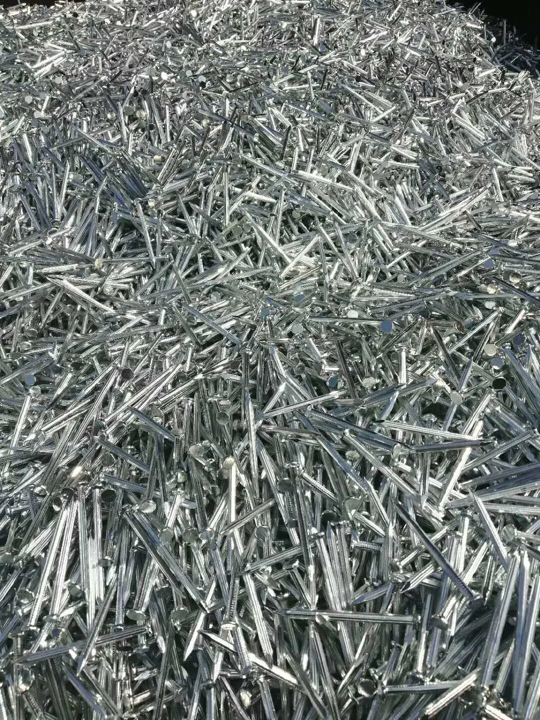 High Quality Galvanized Harden Concrete Steel Nails