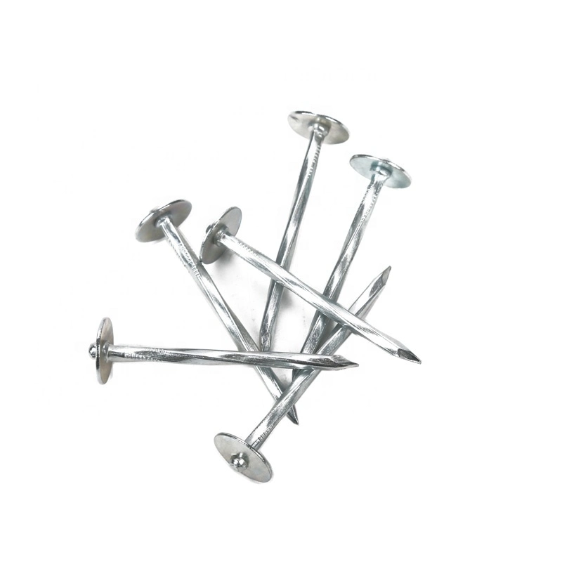 Galvanized Roofing Nails Umbrella Head Twisted Shank and Galvanized Self Drilling Screw