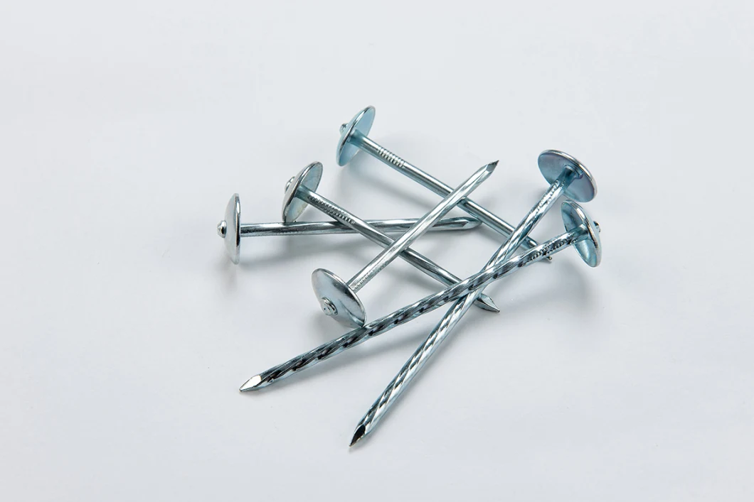 Ring Shank Umbrella Head Roofing Nails/Galvanized Roofing Nails for Wooden Furniture