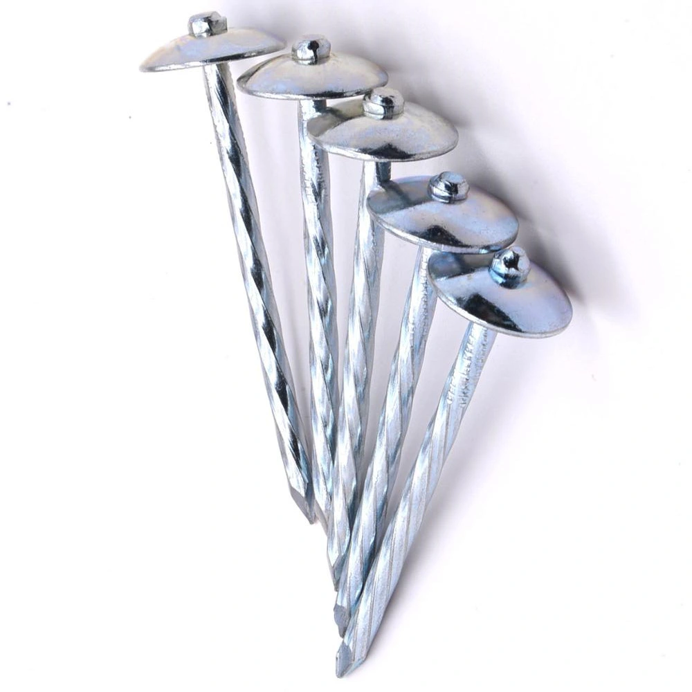 China Factory Umbrella Head Nails Roofing Nails Corrugated Nails Galvanized Twisted Shank