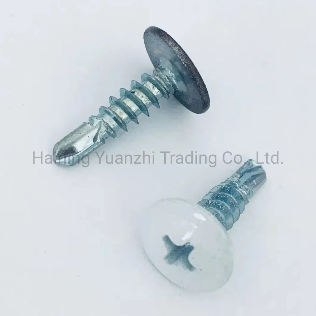 Zinc Plated Phillips Wafer Head Self Drilling Screw From China